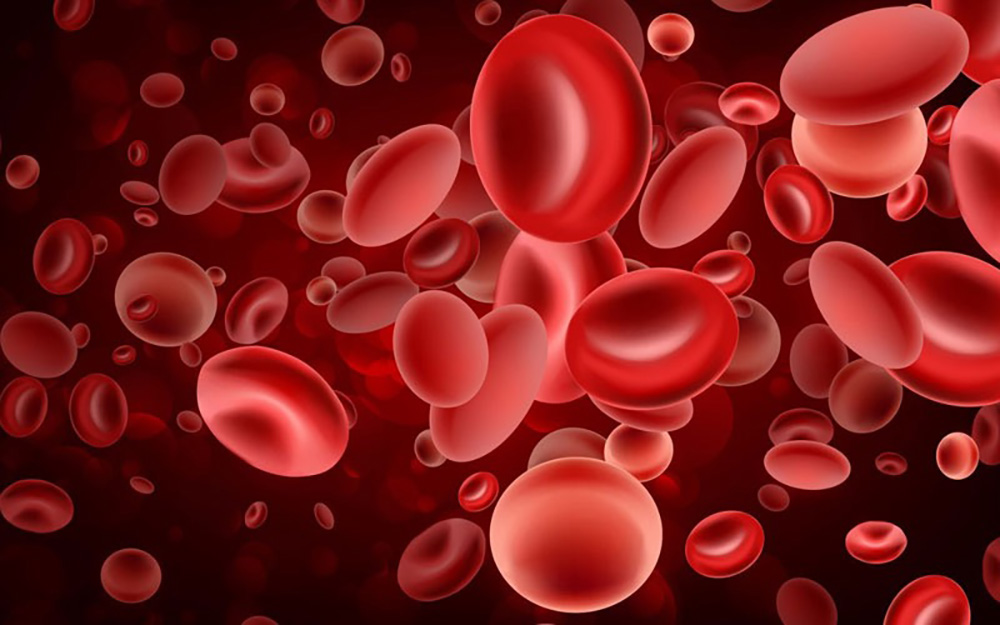 eritrociti_železo_kri